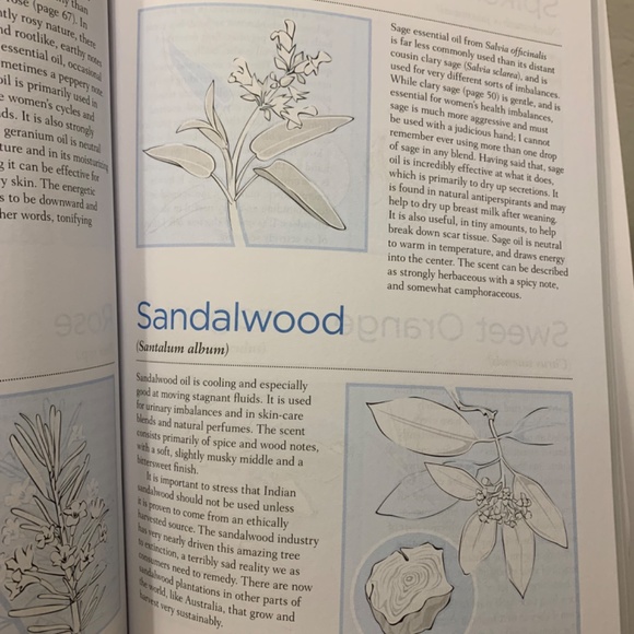 Aromatherapy With Essential Oil Diffusers For Everyday Health and Wellness. - Picture 3 of 6